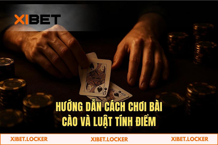 Luật chơi bài chi tiết và tư duy tính điểm tối ưu