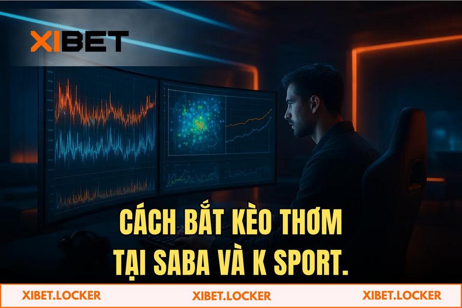 Soi chiếu sảnh Saba Sport và K Sport: Đâu là nơi dòng dữ liệu chảy về?