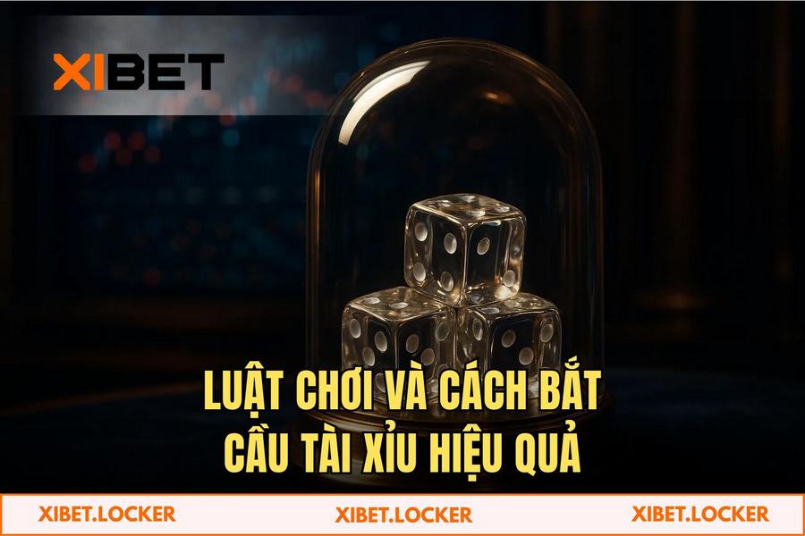 Luật chơi và các cửa đặt cược tỷ lệ ăn cao trong Tài Xỉu