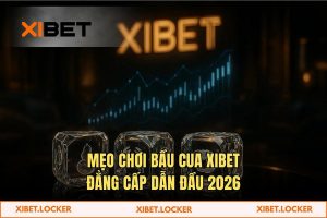 Mẹo chơi bầu cua XIBET - Bí mật soi cầu & Chiến thuật Casino Live 2026