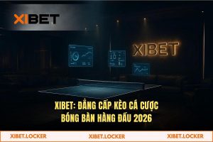 Kèo cá cược bóng bàn 2026: Giải mã Thuật toán Odds & Biến động Số liệu tại XIBET